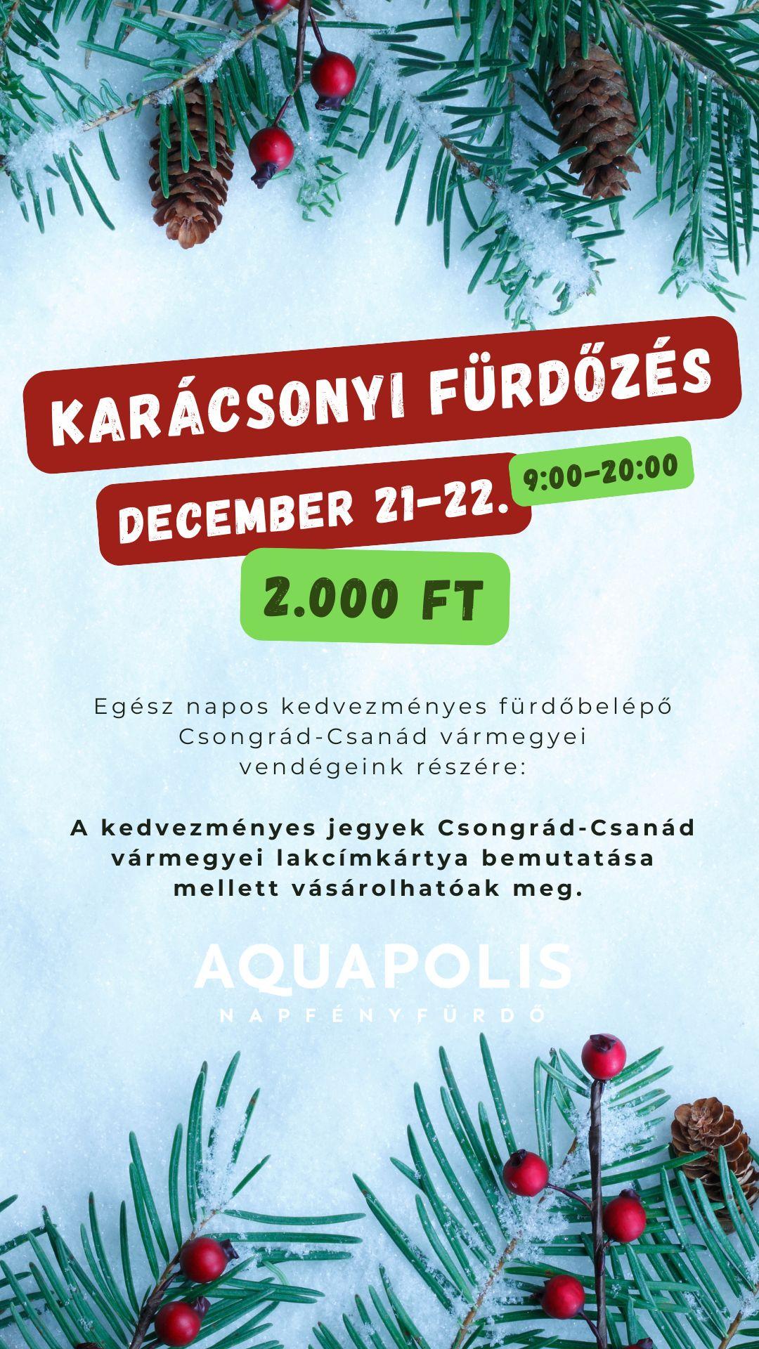 Karácsonyi Fürdőzés az Aquapolisban